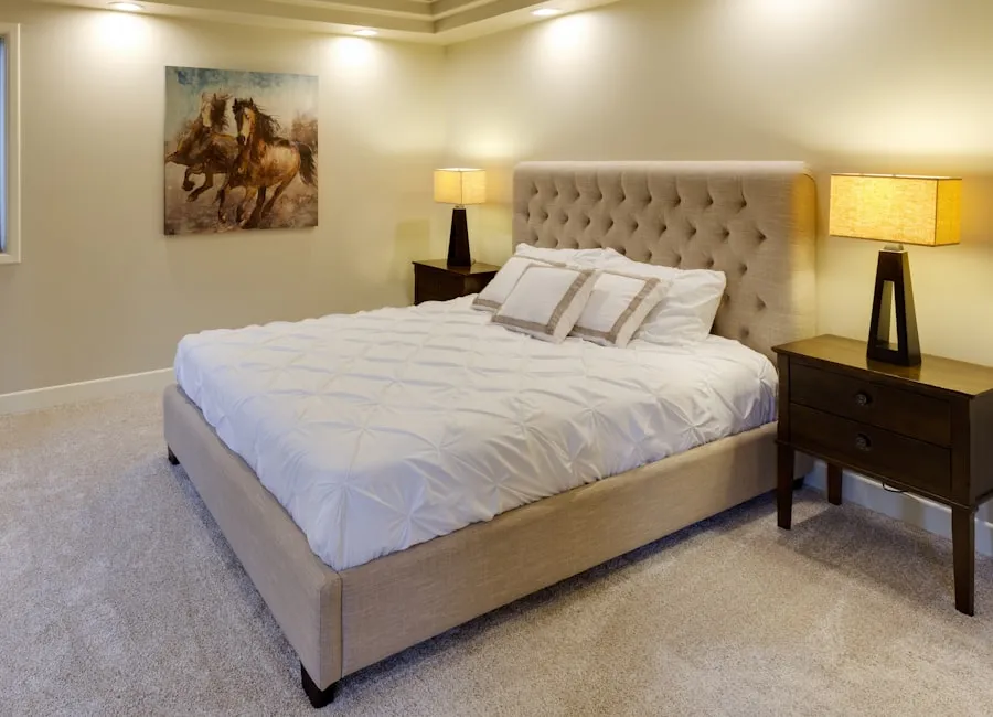 How to Get Rid of Bed Bugs in Sydney