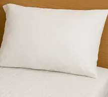 Bed Bug Treatment — After