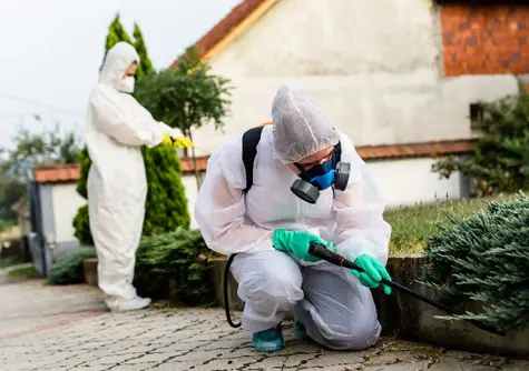 Termite Treatment Sydney