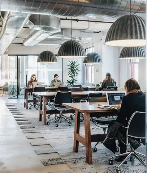 School pest control Sydney