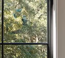 Spider Control — After